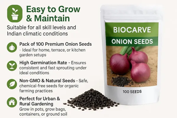 Red_Onion_Seeds_Pack_Of_5