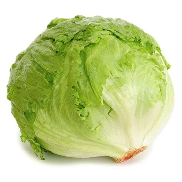 Lettuce_Ice_Berg_Seeds__Pack_Of_5
