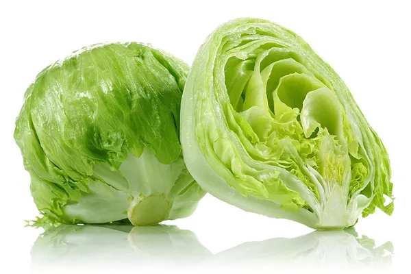 Lettuce_Ice_Berg_Seeds__Pack_Of_5