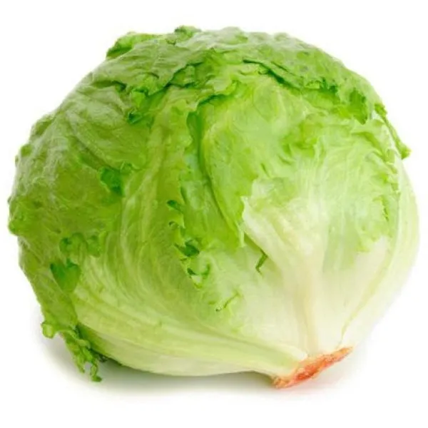 Lettuce_Ice_Berg_Seeds__Pack_Of_5