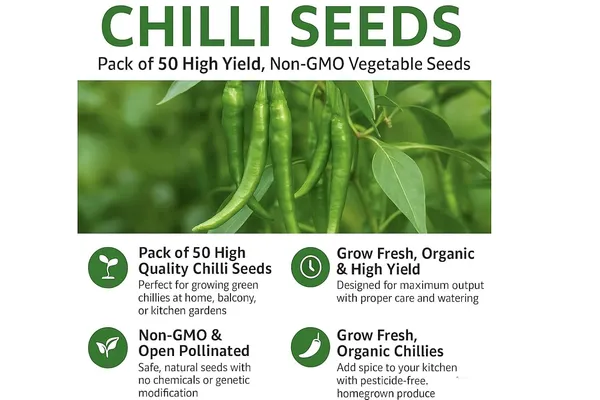 Chilli_Seeds_For_Home_Gardening_-_Pack_Of_5