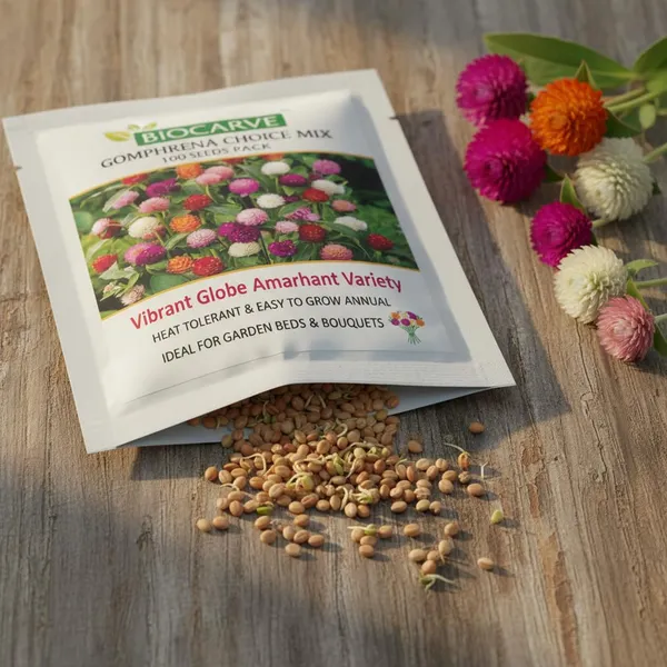 Gomphrena_Choice_Mix_-_pack_of_4