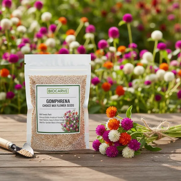 Gomphrena_Choice_Mix_-_pack_of_4