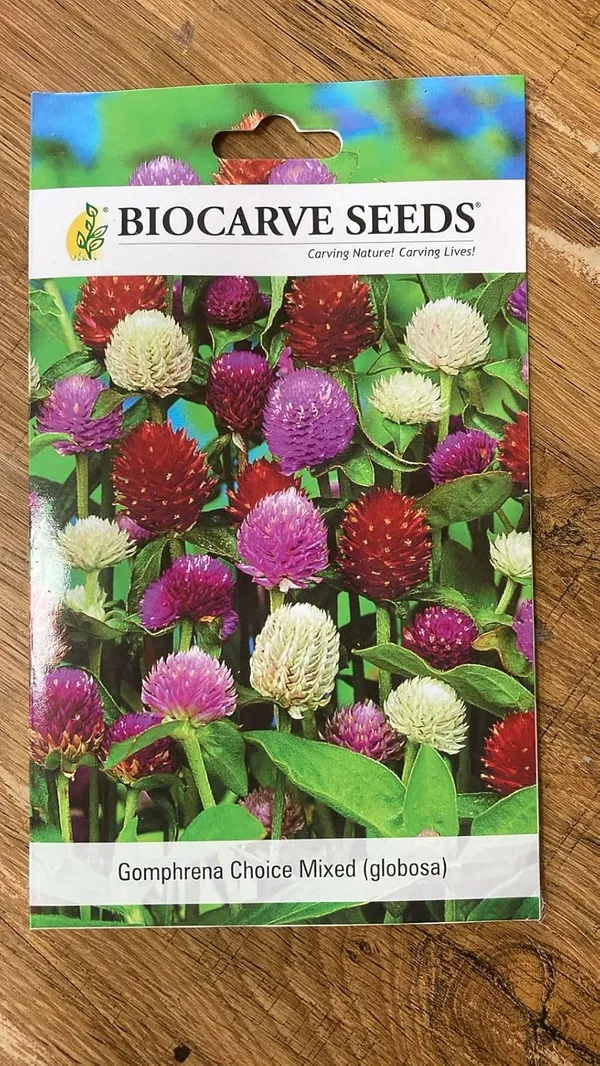 Gomphrena_Choice_Mix_-_pack_of_4