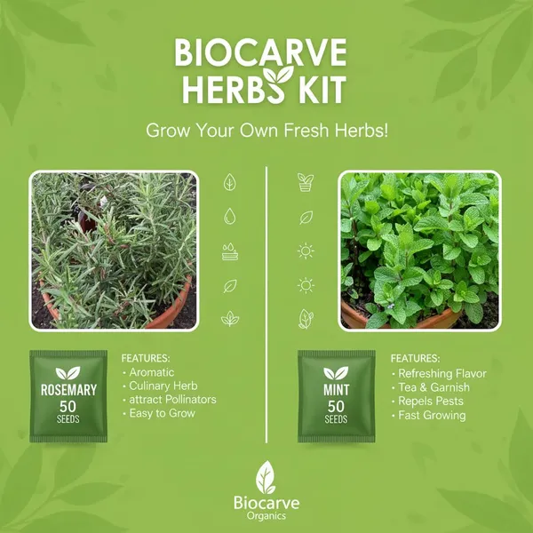 Rosemary_And_Mint_Herb_Seeds_Kit__Pack_Of_2