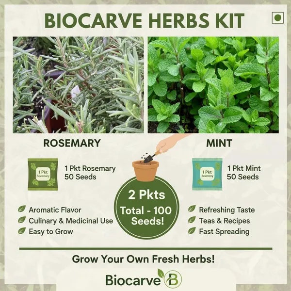 Rosemary_And_Mint_Herb_Seeds_Kit__Pack_Of_2