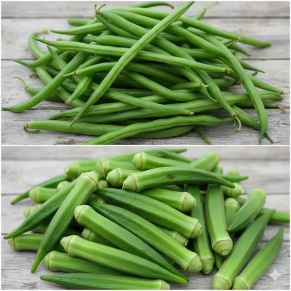 Vegetable_Seeds_Summer_Kit_-_Pack_Of_3