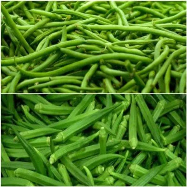 Vegetable_Seeds_Summer_Kit_-_Pack_Of_3