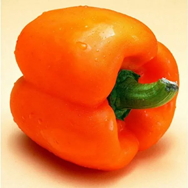 Capsicum_Vegetable_Seed_Kit_-_Pack_Of_4