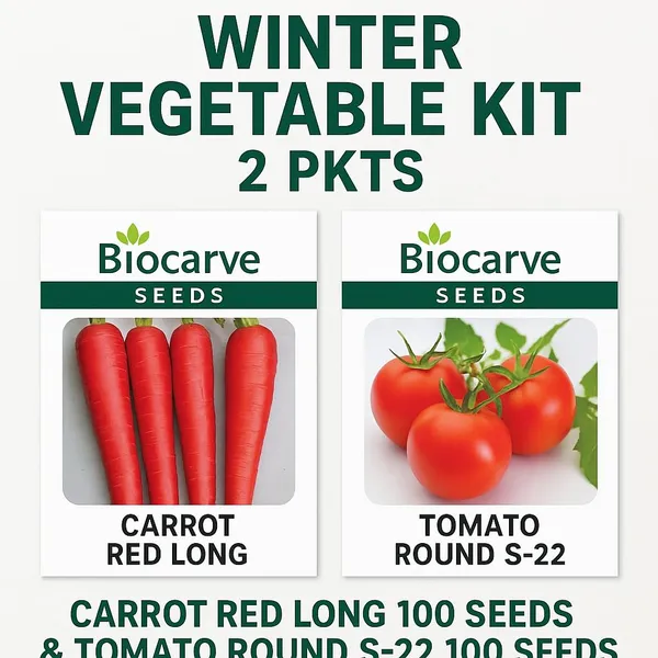 Vegetable_Seed_Kit_-_Pack_Of_3