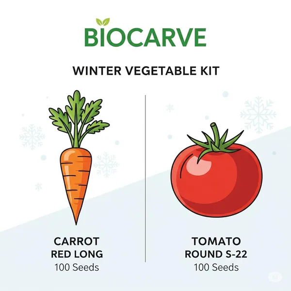 Vegetable_Seed_Kit_-_Pack_Of_3