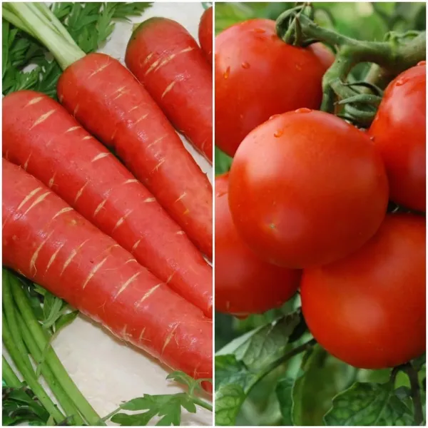 Vegetable_Seed_Kit_-_Pack_Of_3