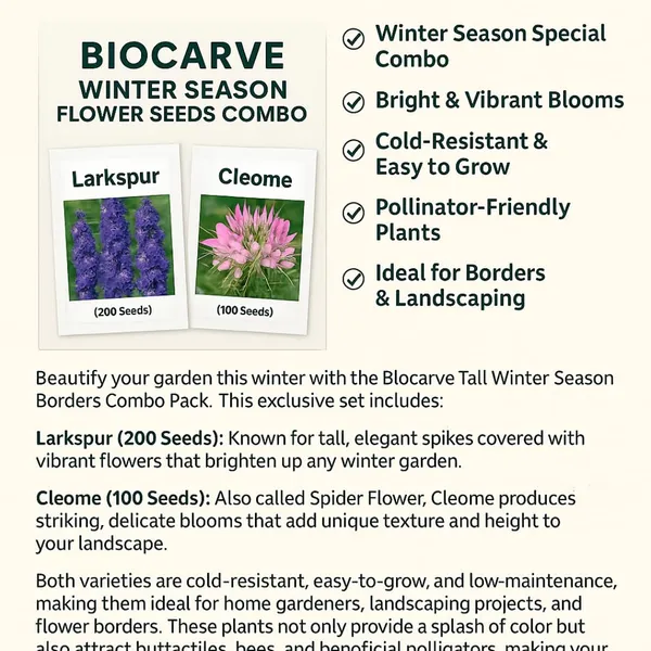 Larkspur_And_Cleome_Flower_Seeds_-_Pack_Of_3