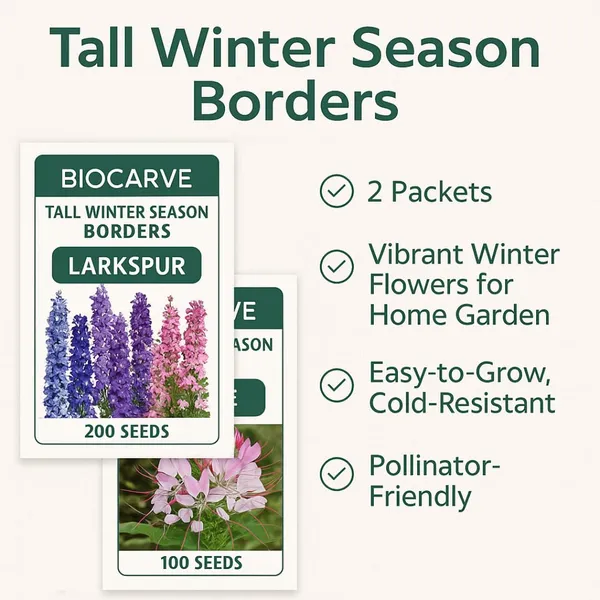 Larkspur_And_Cleome_Flower_Seeds_-_Pack_Of_3