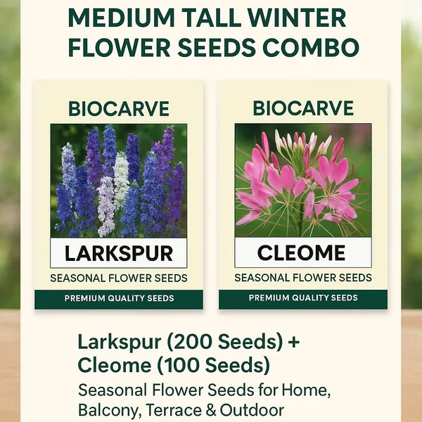 Winter_Flower_Seeds_Combo_-_Pack_Of_3