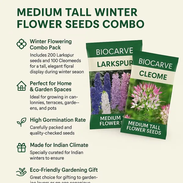 Winter_Flower_Seeds_Combo_-_Pack_Of_3