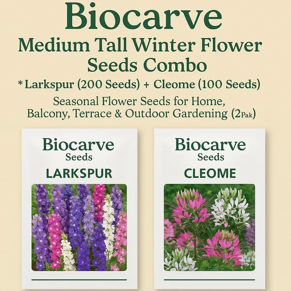 Winter_Flower_Seeds_Combo_-_Pack_Of_3