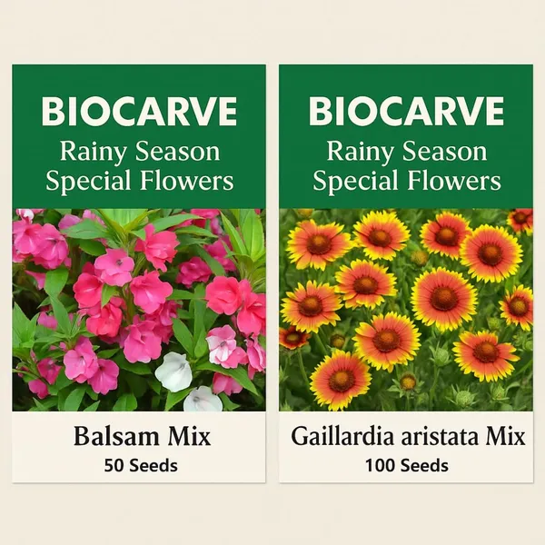 Pack_Of_3_Blasam_&_Gaillardia_Aristata_Flower_Seeds_