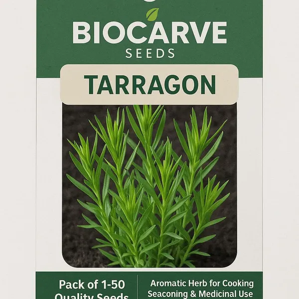 Tarragon_Seeds_-_Pack_Of_3