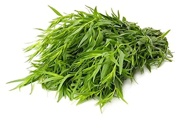 Tarragon_Seeds_-_Pack_Of_3