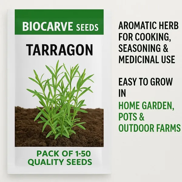 Tarragon_Seeds_-_Pack_Of_3