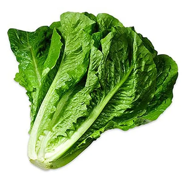 Lettuce_Romaine_Seeds__Pack_Of_3