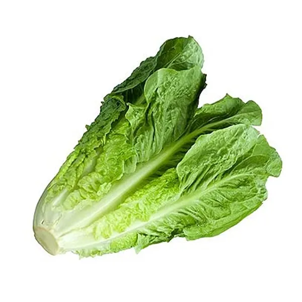 Lettuce_Romaine_Seeds__Pack_Of_3