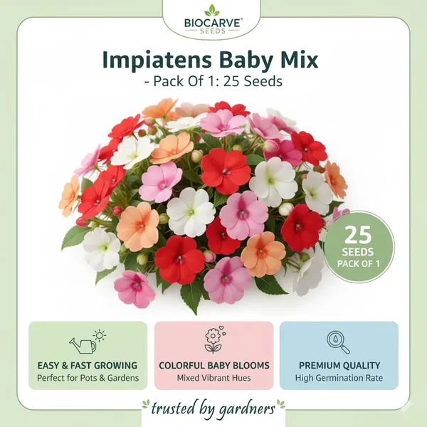 Pack_Of_3_Impatiens_Baby_Mix