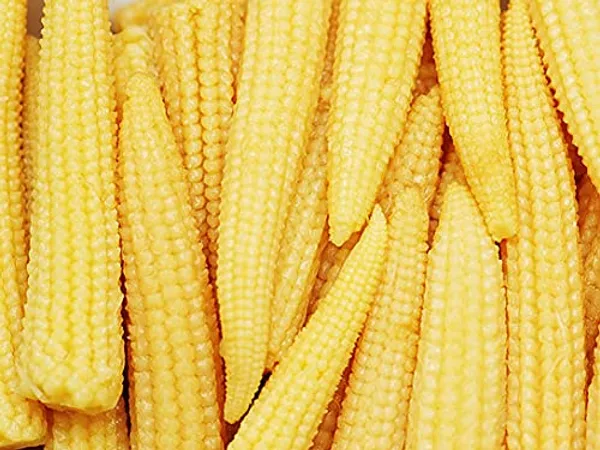 Baby_Corn_Seeds_-_Pack_Of_5