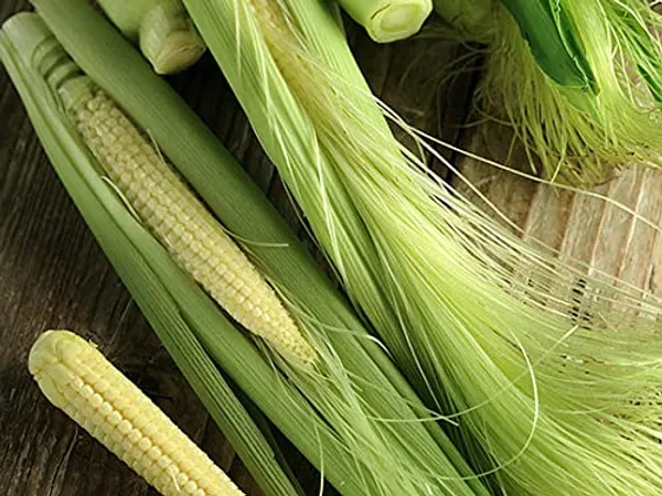 Baby_Corn_Seeds_-_Pack_Of_5