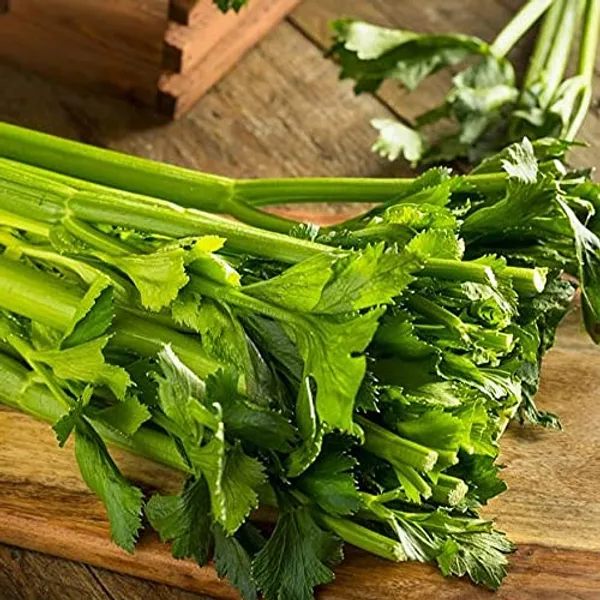 Celery_Seeds
