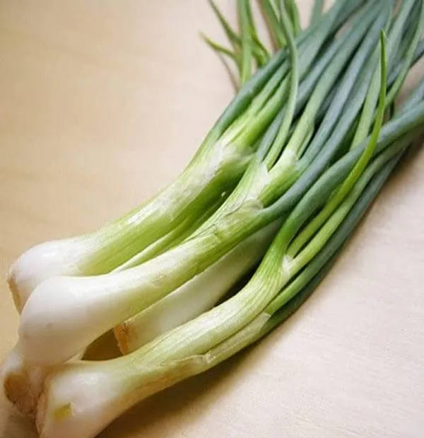 Spring_Onion_Seeds_-_Pack_Of_5