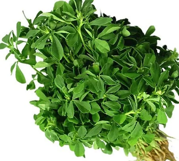Fenugreek_(Methi)__Pack_Of_5