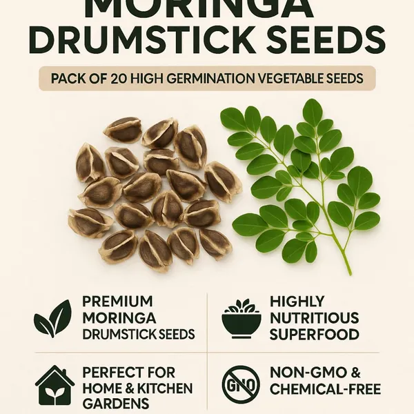 Moringa_Drumstick_Seeds_-_Pack_Of_5