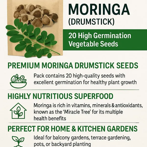 Moringa_Drumstick_Seeds_-_Pack_Of_5