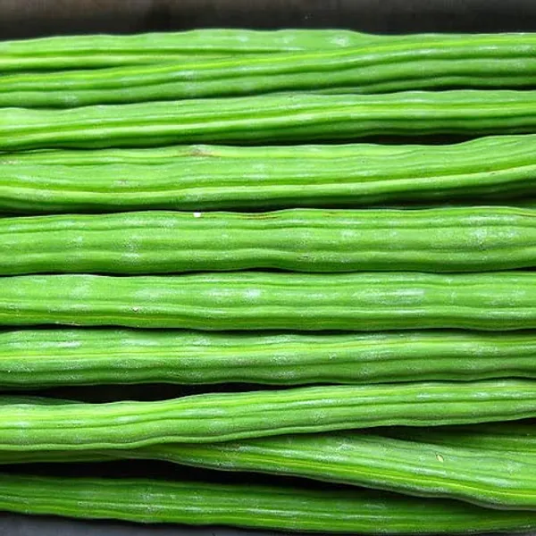 Moringa_Drumstick_Seeds_-_Pack_Of_5