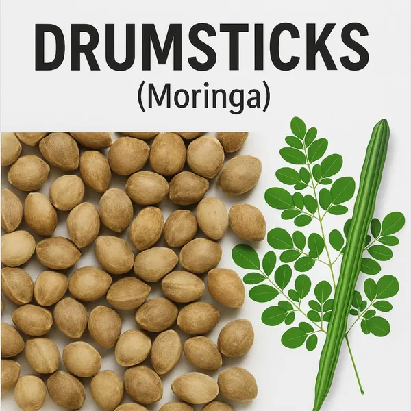 Moringa_Drumstick_Seeds_-_Pack_Of_5