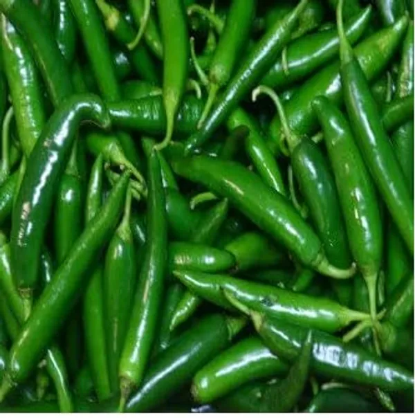 Chilli_Seeds_-_Pack_Of_8
