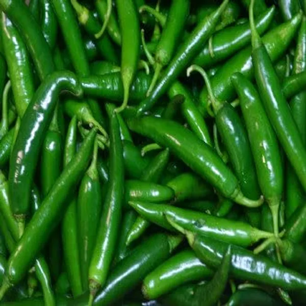 Chilli_Seeds_-_Pack_Of_8