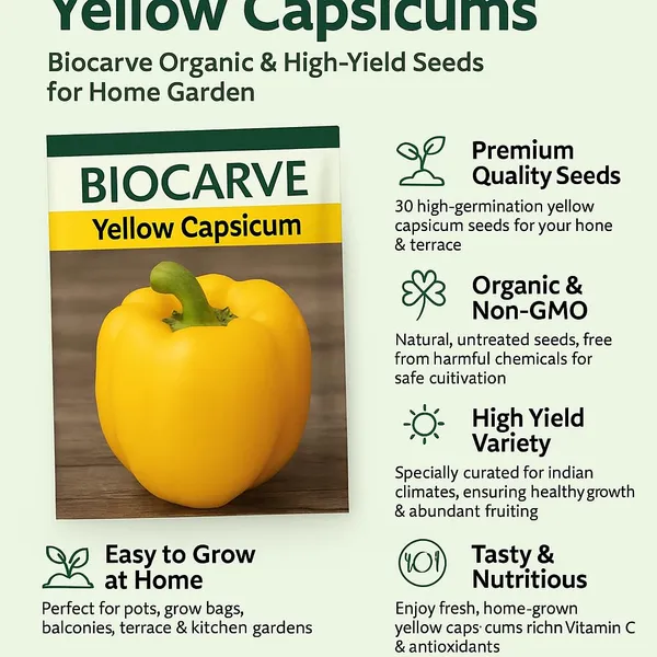 Capsicum_Bell_Pepper_Yellow_Seeds_-_Pack_Of_5