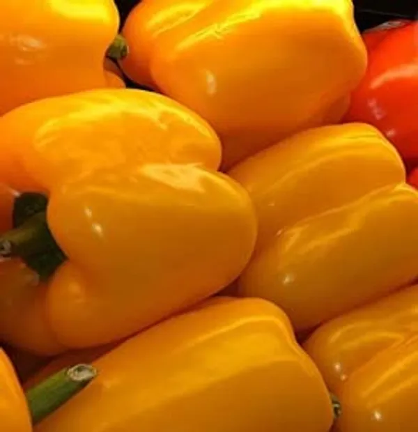 Capsicum_Bell_Pepper_Yellow_Seeds_-_Pack_Of_5