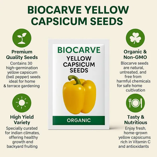 Capsicum_Bell_Pepper_Yellow_Seeds_-_Pack_Of_5