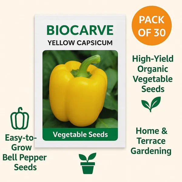 Capsicum_Bell_Pepper_Yellow_Seeds_-_Pack_Of_5