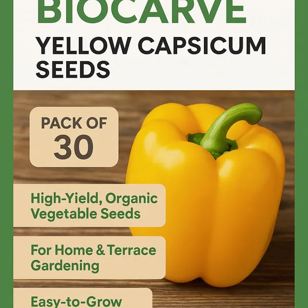 Capsicum_Bell_Pepper_Yellow_Seeds_-_Pack_Of_5