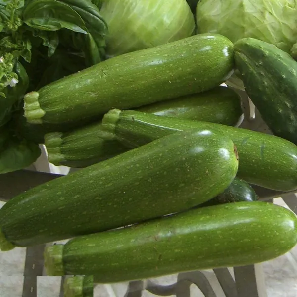 Zucchini_Seeds_For_Gardening_-_Pack_Of_4