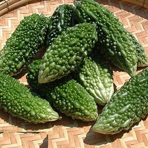 Bitter_Gourd_Seeds_Premium_-_Pack_Of_5