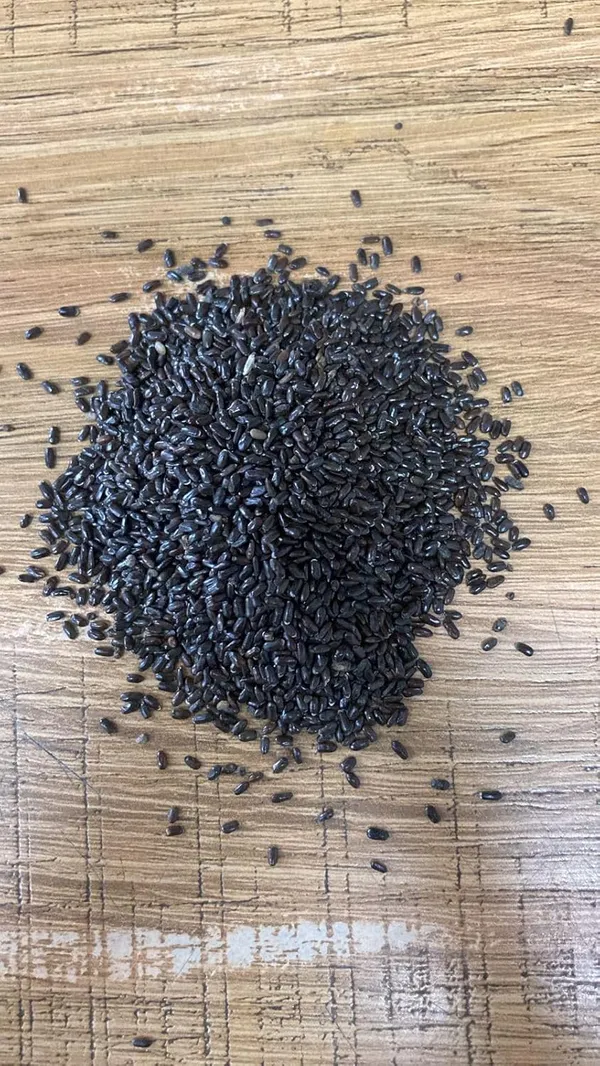 Pack_Of_4_Lavender_Flower_Seeds