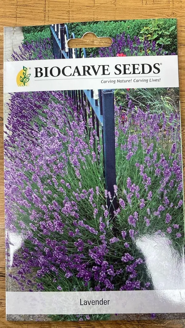 Pack_Of_4_Lavender_Flower_Seeds