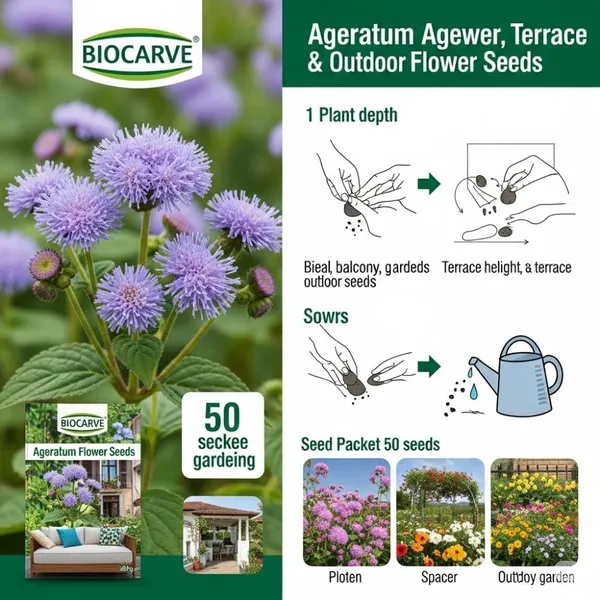 Ageratum_Ball_Mix__Flower_Seeds__Pack_Of_4