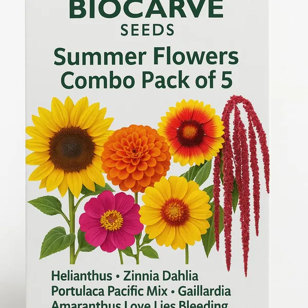 Flower_Seeds_Mixed_Variety_Pack_Of_2